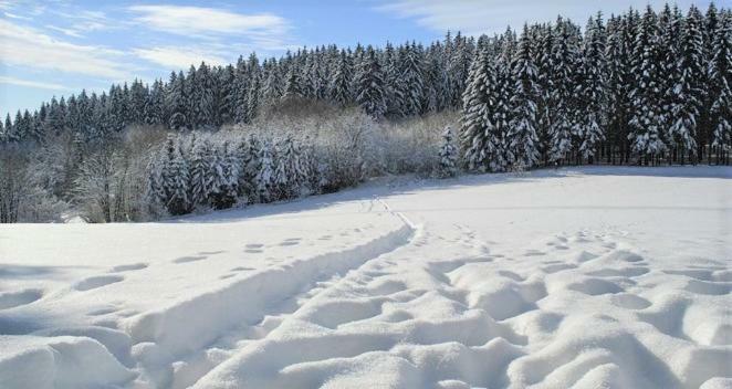 Maier Chalet Bayerisch Eisenstein Eksteriør billede